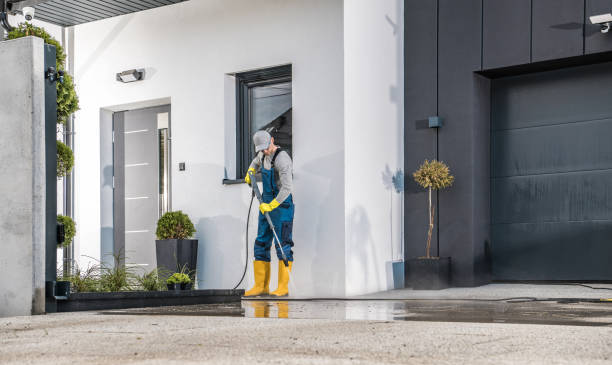 Best Building Exterior Washing  in New Haven, WV